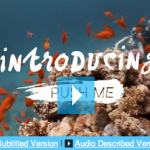 screen grab of the still for the introduction film - underwater scene with orange fish. Text read Introducing Push Me