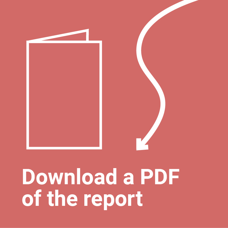 Download a PDF of the report
