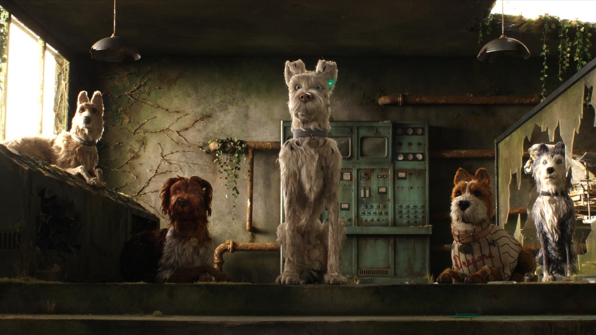 Film still from Wes Anderson's Isle of Dogs