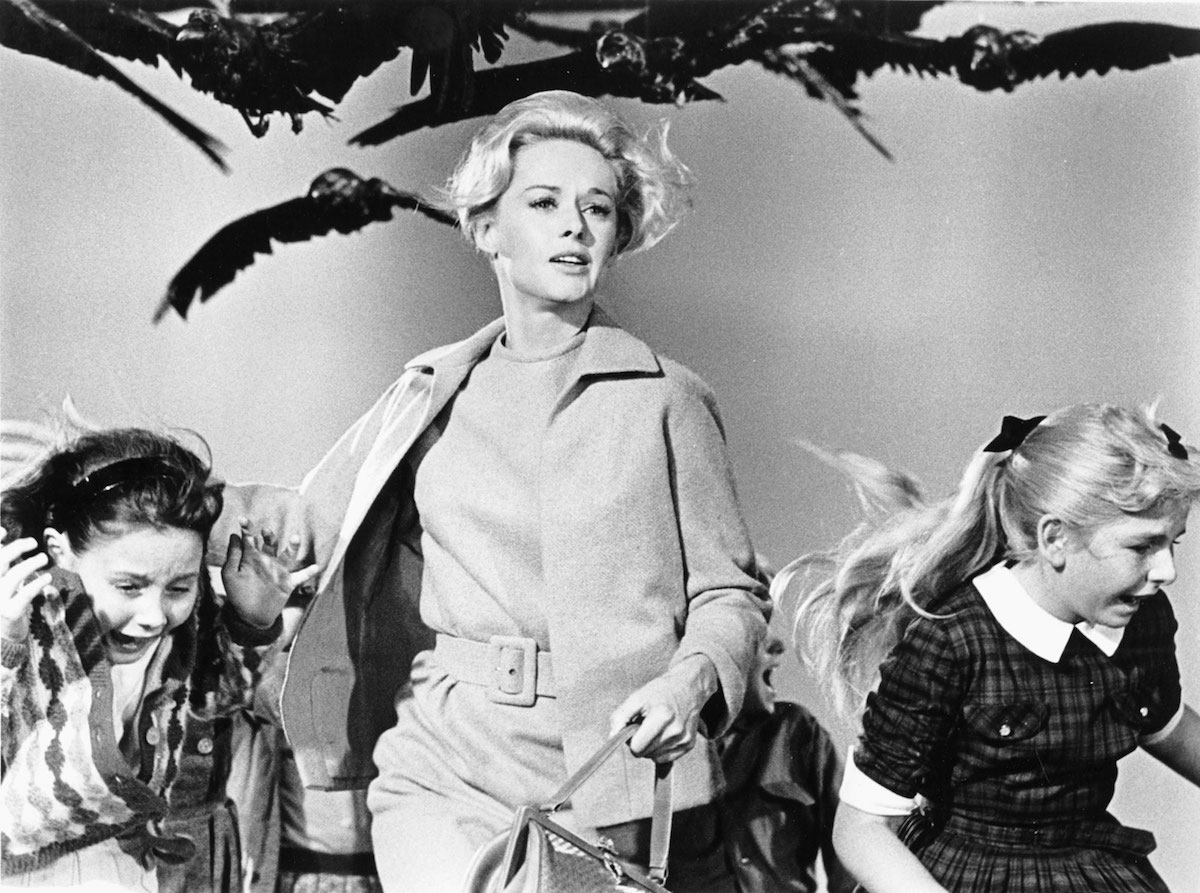 Still from Hitchcock's The Birds