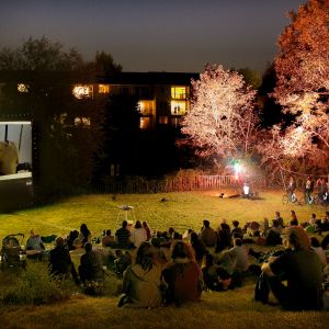 A landscape shot of a late night, outdoor film screening