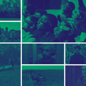 Graphic image, a grid gallery of film stills. Blue and green duotone.