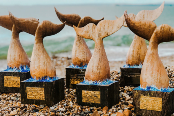 6 wooden festival trophy are lined up on a beach. waves crash. behind, as the wood is carved into the shape of a whales fin splashing down into water