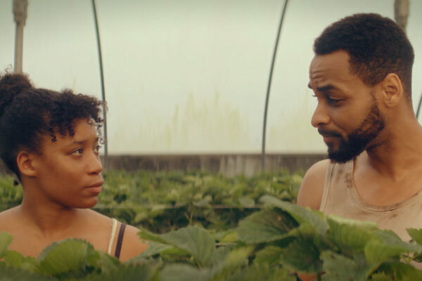 A black man and black woman are talking to each other in a fruit field