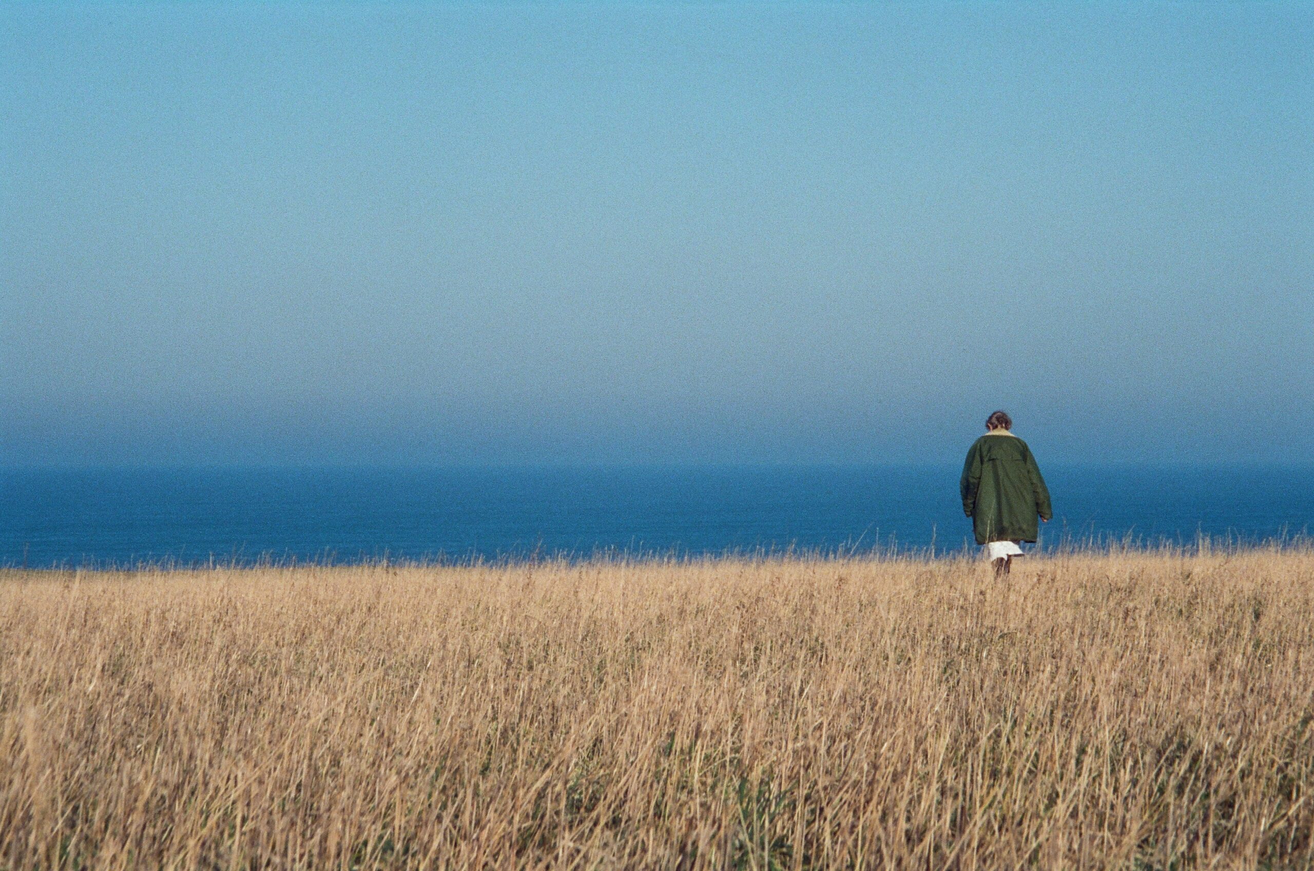 A person in a green coat walks through a vast, golden field toward a clear blue ocean under a bright sky.