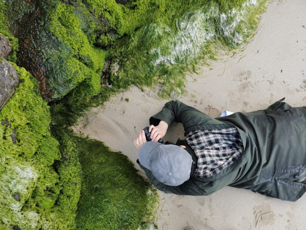 A person in a green jacket and gray cap lies on a sandy beach, focusing a camera on vibrant green moss-covered rocks.