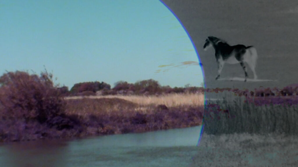 A river scene with grassy banks is partially overlaid by a circular, tinted filter showing a horse in a grassy field in grayscale.