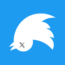 Twitter bird