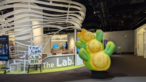 A large colourful inflatable plant is in Japan.